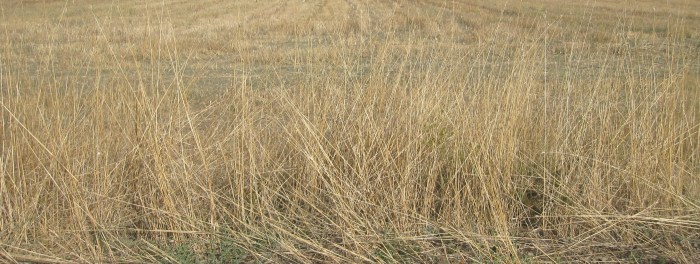 Travel and environment