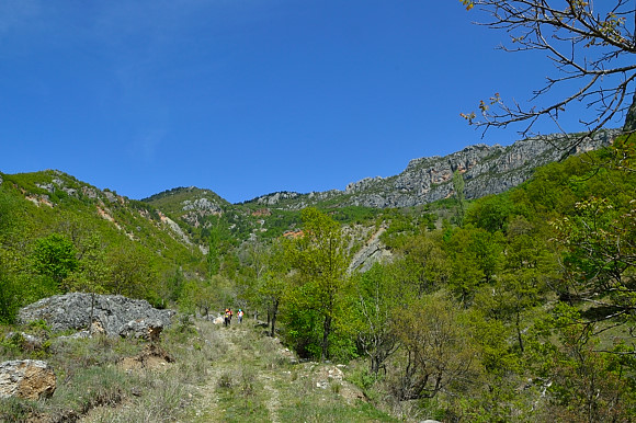 DSC_0492_00407